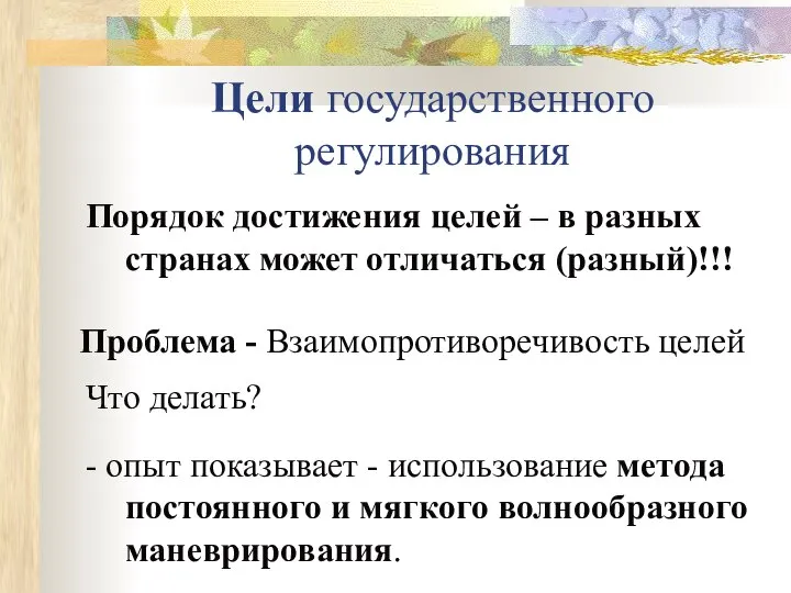 Цели государственного регулирования Порядок достижения целей – в разных странах может