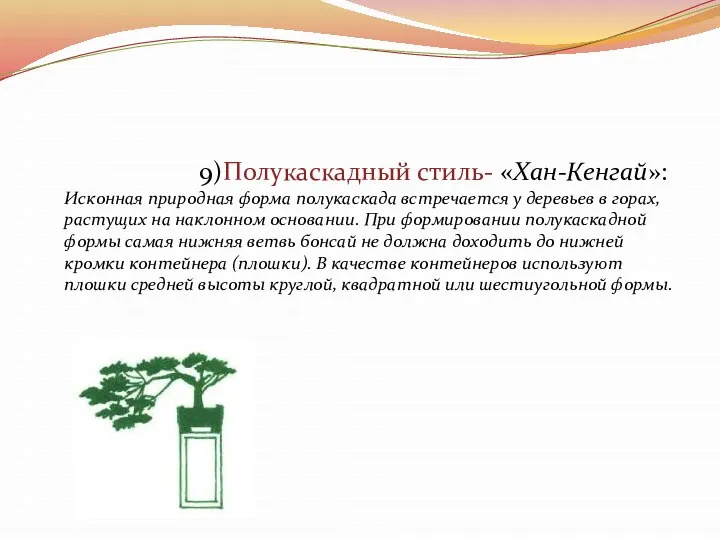 9)Полукаскадный стиль- «Хан-Кенгай»: Исконная природная форма полукаскада встречается у деревьев в