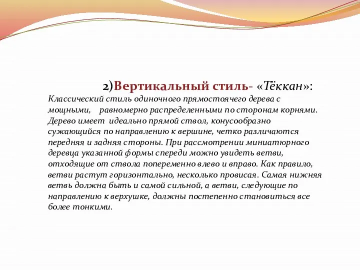 2)Вертикальный стиль- «Тёккан»: Классический стиль одиночного прямостоячего дерева с мощными, равномерно