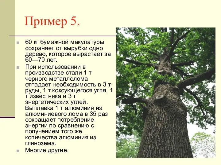 Пример 5. 60 кг бумажной макулатуры сохраняет от вырубки одно дерево,