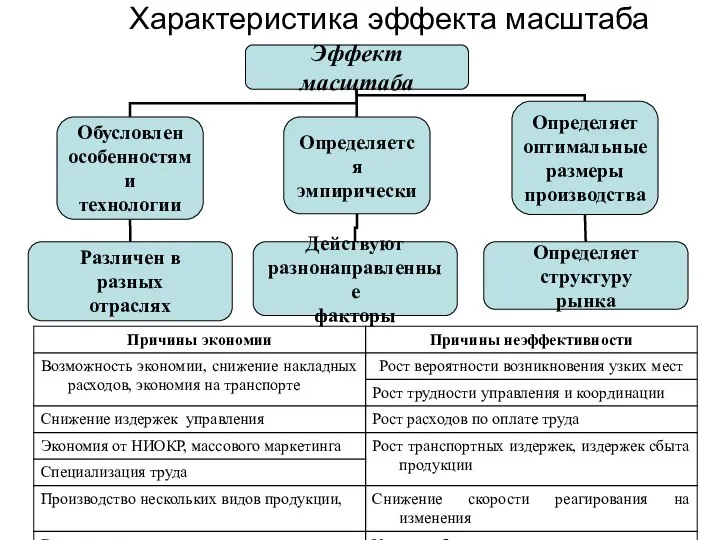 Характеристика эффекта масштаба