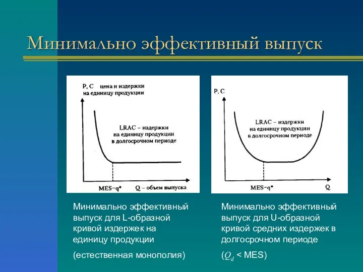 Минимально эффективный выпуск Минимально эффективный выпуск для L-образной кривой издержек на