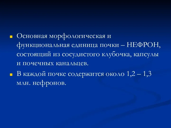 Основная морфологическая и функциональная единица почки – НЕФРОН, состоящий из сосудистого