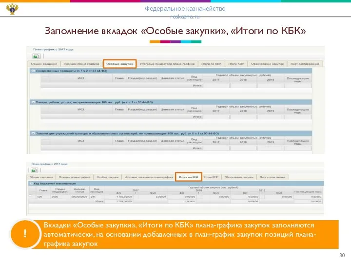 Заполнение вкладок «Особые закупки», «Итоги по КБК» ! Вкладки «Особые закупки»,