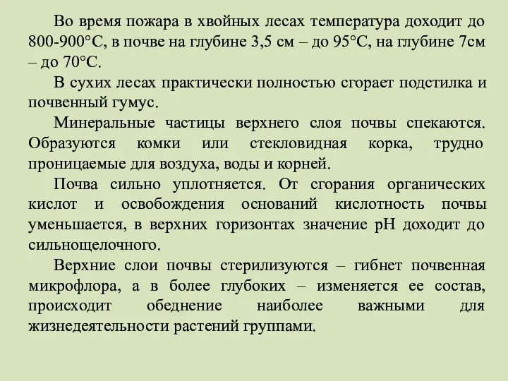 Во время пожара в хвойных лесах температура доходит до 800-900°С, в