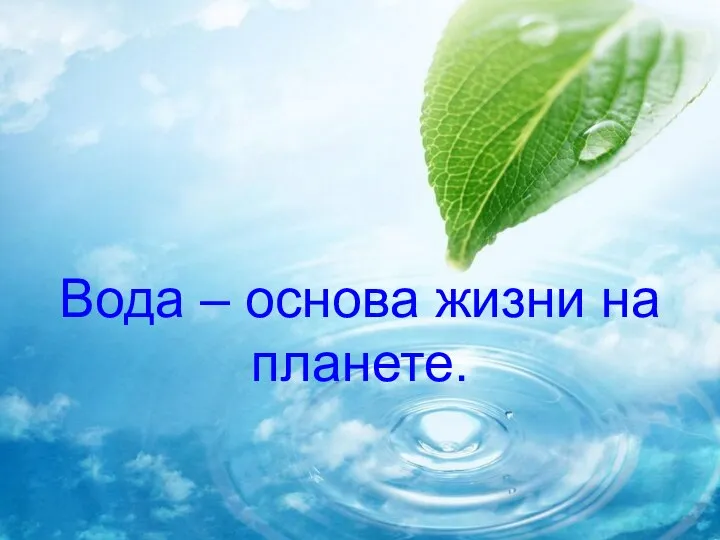 Вода – основа жизни на планете.