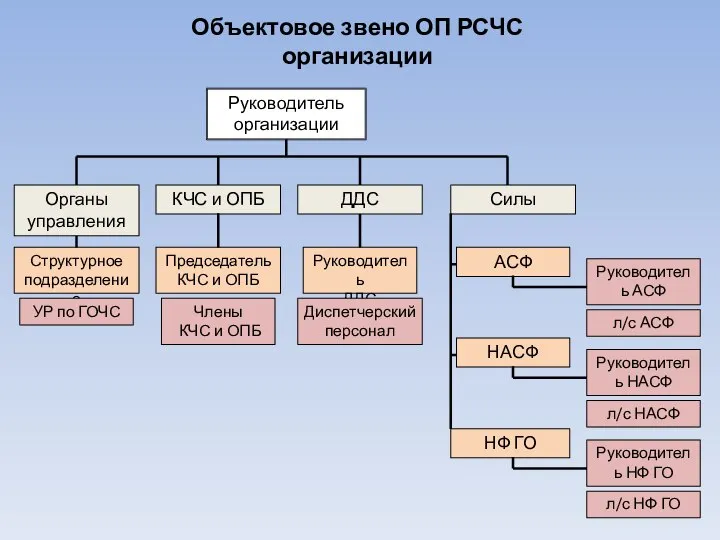 Руководитель организации Объектовое звено ОП РСЧС организации Органы управления Структурное подразделение