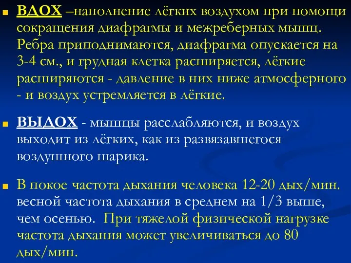 ВДОХ –наполнение лёгких воздухом при помощи сокращения диафрагмы и межреберных мышц.