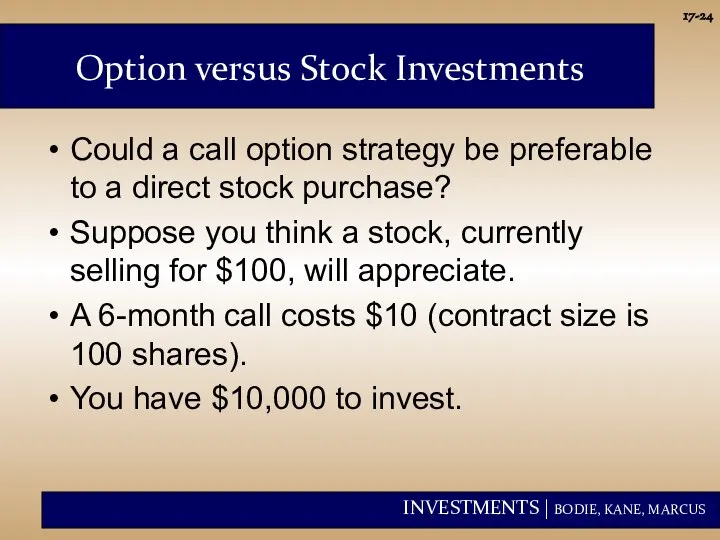 17- Option versus Stock Investments Could a call option strategy be