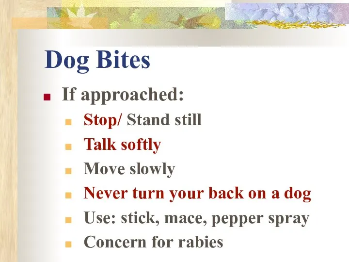 Dog Bites If approached: Stop/ Stand still Talk softly Move slowly