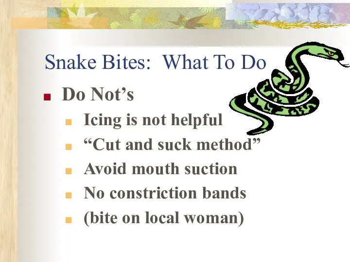 Snake Bites: What To Do Do Not’s Icing is not helpful