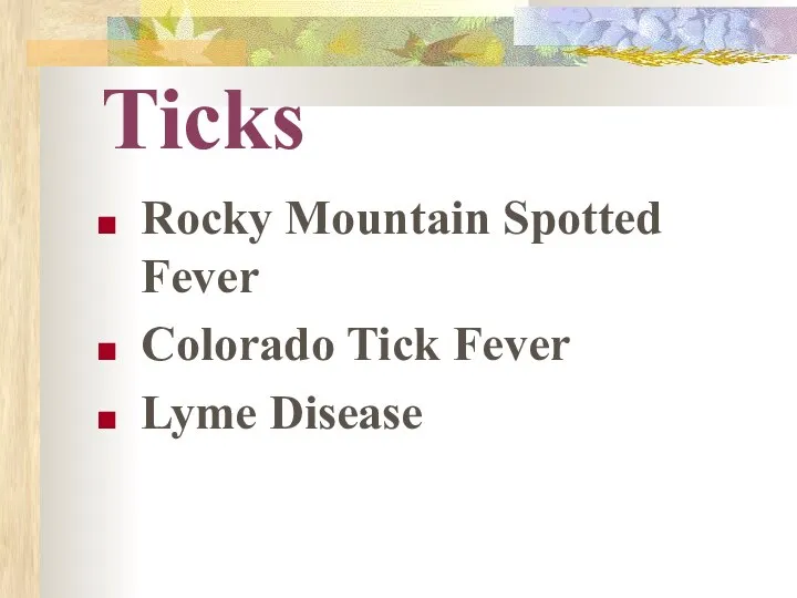 Ticks Rocky Mountain Spotted Fever Colorado Tick Fever Lyme Disease