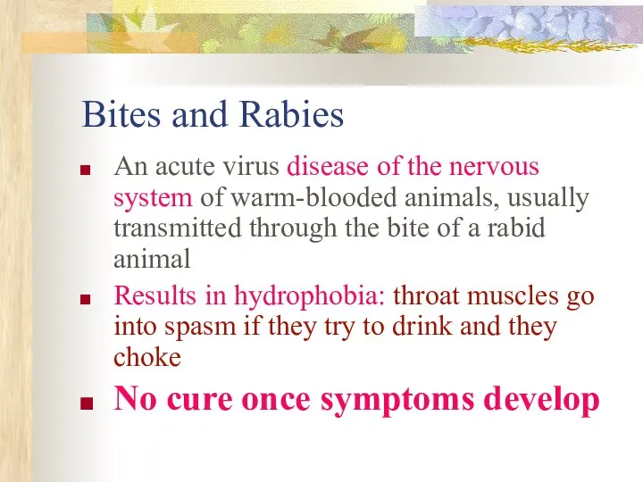 Bites and Rabies An acute virus disease of the nervous system