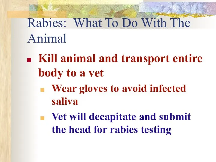 Rabies: What To Do With The Animal Kill animal and transport