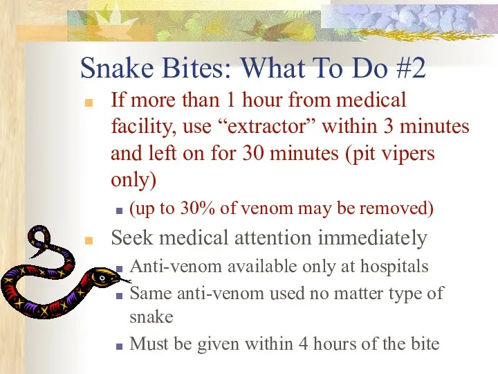 Snake Bites: What To Do #2 If more than 1 hour