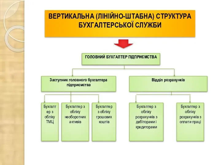 ВЕРТИКАЛЬНА (ЛІНІЙНО-ШТАБНА) СТРУКТУРА БУХГАЛТЕРСЬКОЇ СЛУЖБИ