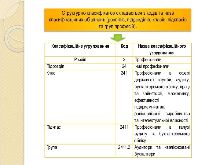 Структурно класифікатор складається з кодів та назв класифікаційних об'єднань (розділів, підрозділів, класів, підкласів та груп професій).