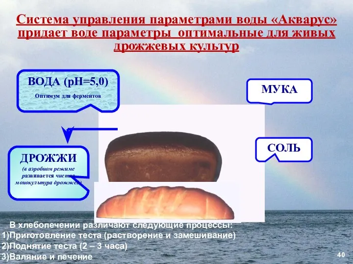 ДРОЖЖИ (в аэробном режиме развивается чистая монокультура дрожжей) Система управления параметрами