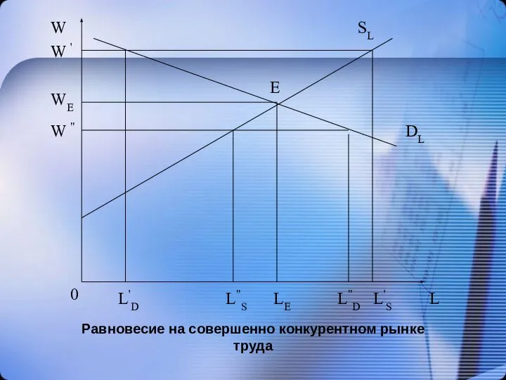 Равновесие на совершенно конкурентном рынке труда