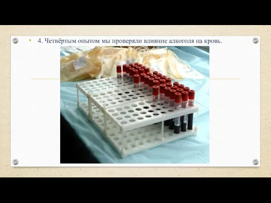 4. Четвёртым опытом мы проверяли влияние алкоголя на кровь.