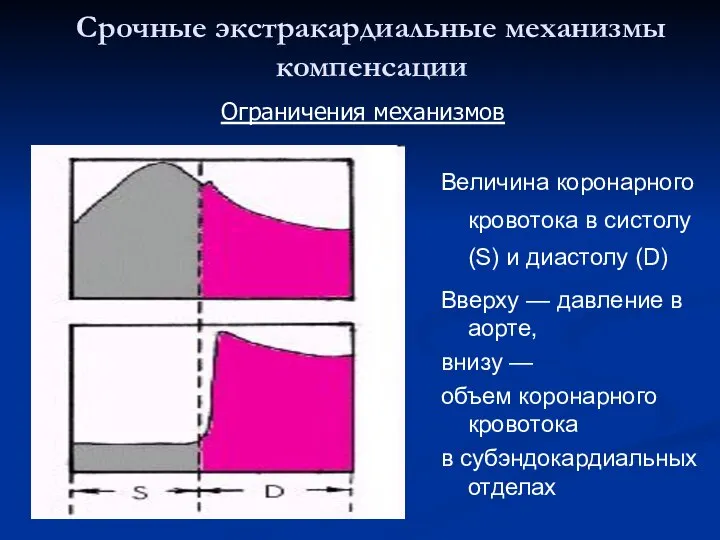 Срочные экстракардиальные механизмы компенсации Величина коронарного кровотока в систолу (S) и