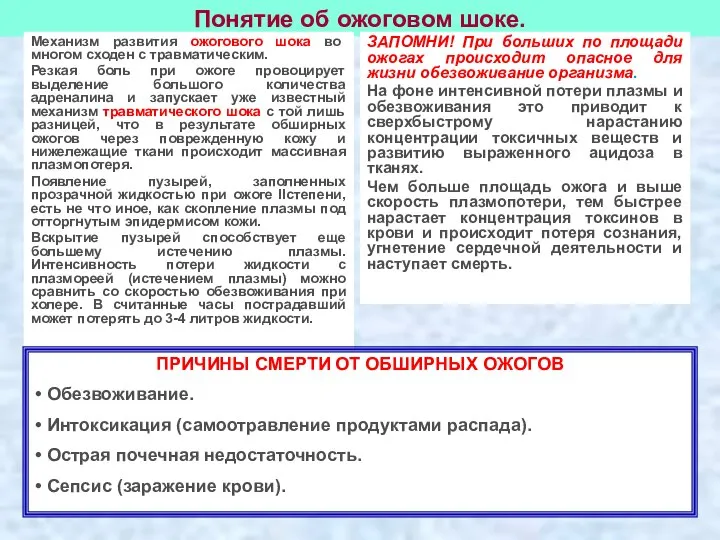 Понятие об ожоговом шоке. Механизм развития ожогового шока во многом сходен