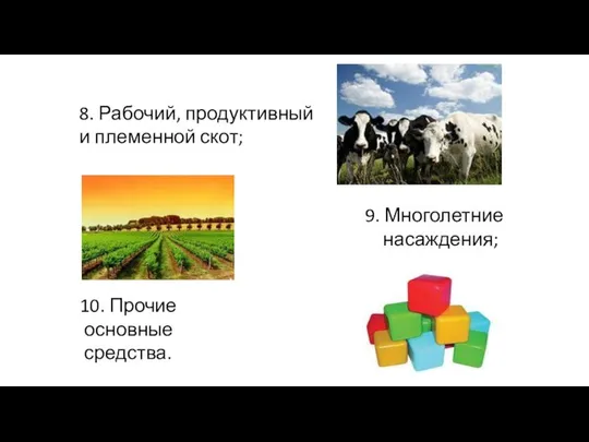 8. Рабочий, продуктивный и племенной скот; 9. Многолетние насаждения; 10. Прочие основные средства.