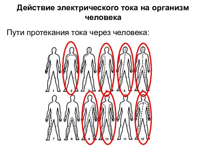 Действие электрического тока на организм человека Пути протекания тока через человека: