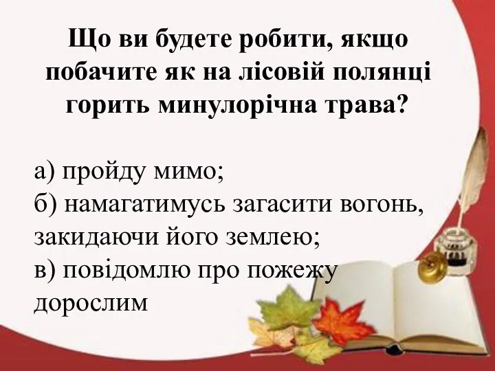 Що ви будете робити, якщо побачите як на лісовій полянці горить