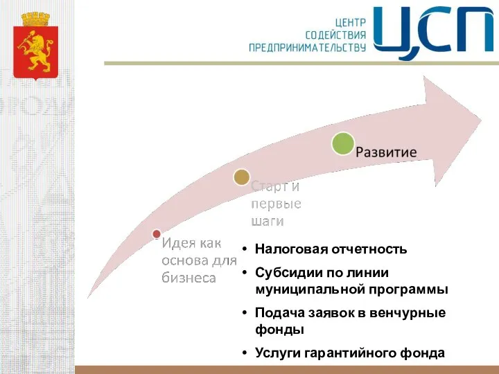 Налоговая отчетность Субсидии по линии муниципальной программы Подача заявок в венчурные фонды Услуги гарантийного фонда