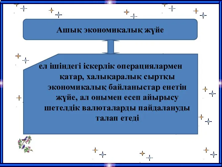 ел ішіндегі іскерлік операциялармен қатар, халықаралық сыртқы экономикалық байланыстар енетін жүйе,