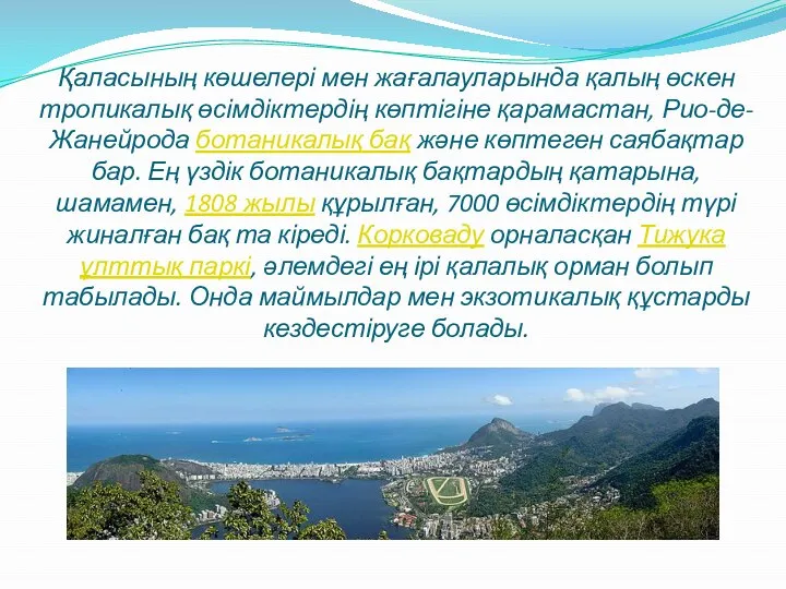 Қаласының көшелері мен жағалауларында қалың өскен тропикалық өсімдіктердің көптігіне қарамастан, Рио-де-Жанейрода