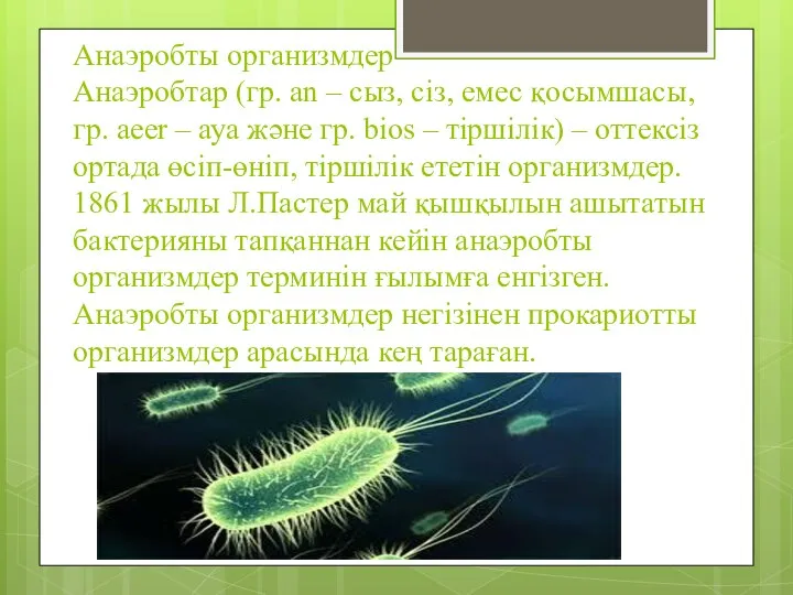 Анаэробты организмдер Анаэробтар (гр. an – сыз, сіз, емес қосымшасы, гр.