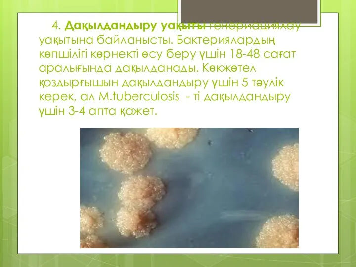 4. Дақылдандыру уақыты генериациялау уақытына байланысты. Бактериялардың көпшілігі көрнекті өсу беру