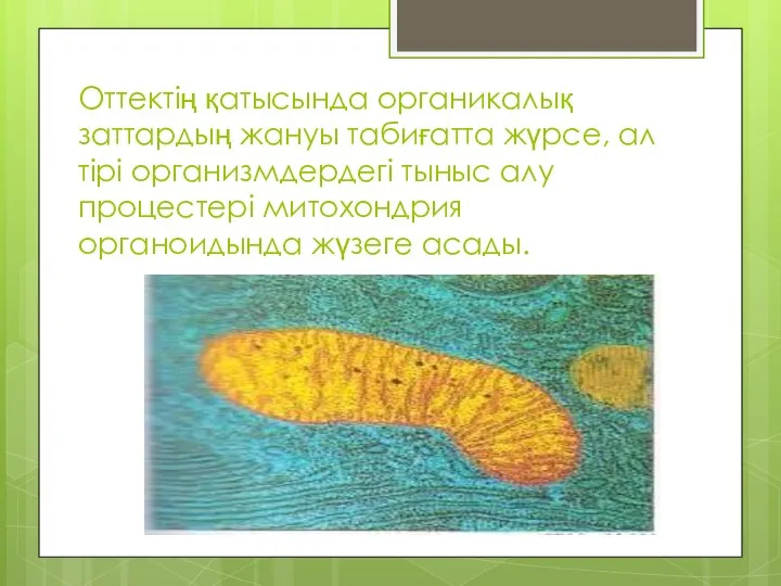 Оттектің қатысында органикалық заттардың жануы табиғатта жүрсе, ал тірі организмдердегі тыныс