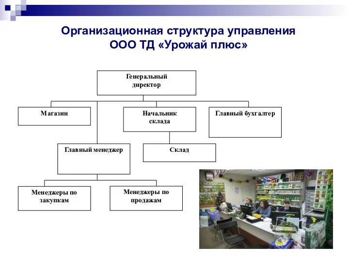 Организационная структура управления ООО ТД «Урожай плюс»