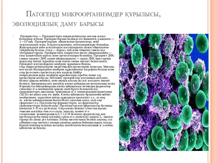 Патогенді микроорганизмдер құрылысы, эволюциялық даму барысы Прокариоттар — Прокариоттарға микроорганизмдер мен