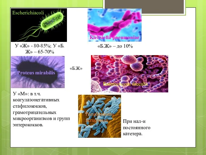 У «Ж» - 80-85%; У «Б.Ж» – 65-70% «Б.Ж» – до