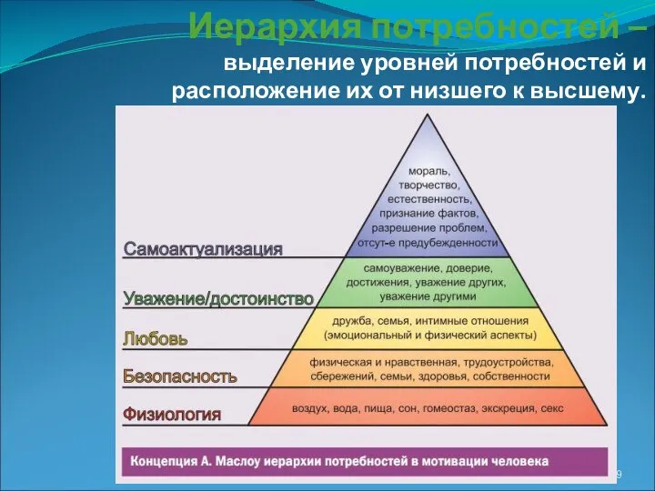 Иерархия потребностей – выделение уровней потребностей и расположение их от низшего к высшему.