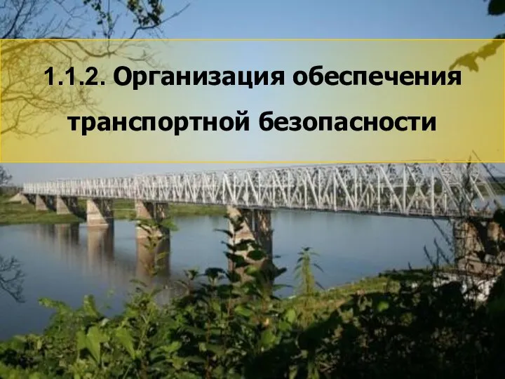 14 1.1.2. Организация обеспечения транспортной безопасности