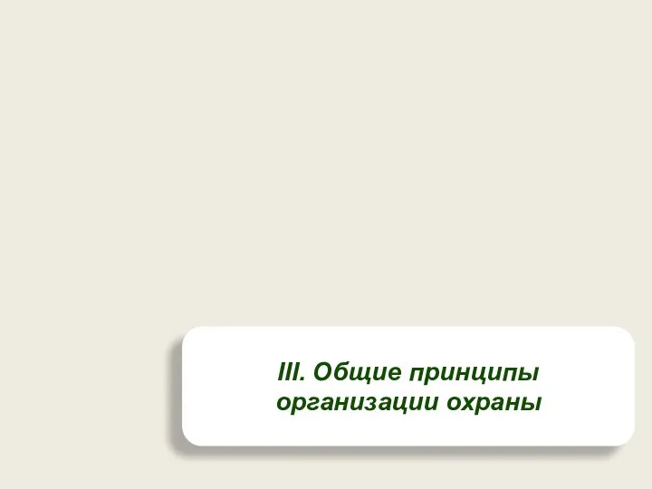 III. Общие принципы организации охраны