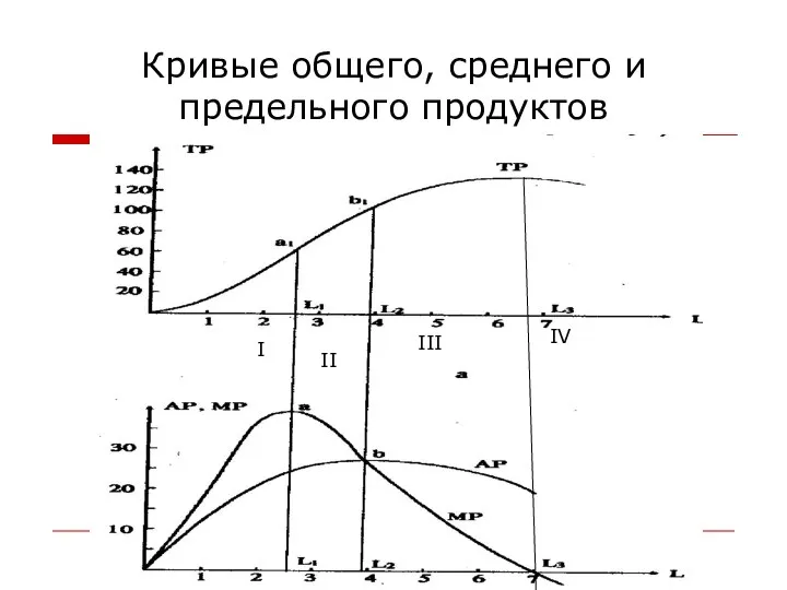 Кривые общего, среднего и предельного продуктов I II IV III