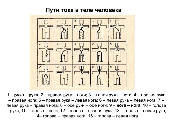 Пути тока в теле человека 1 – рука – рука; 2