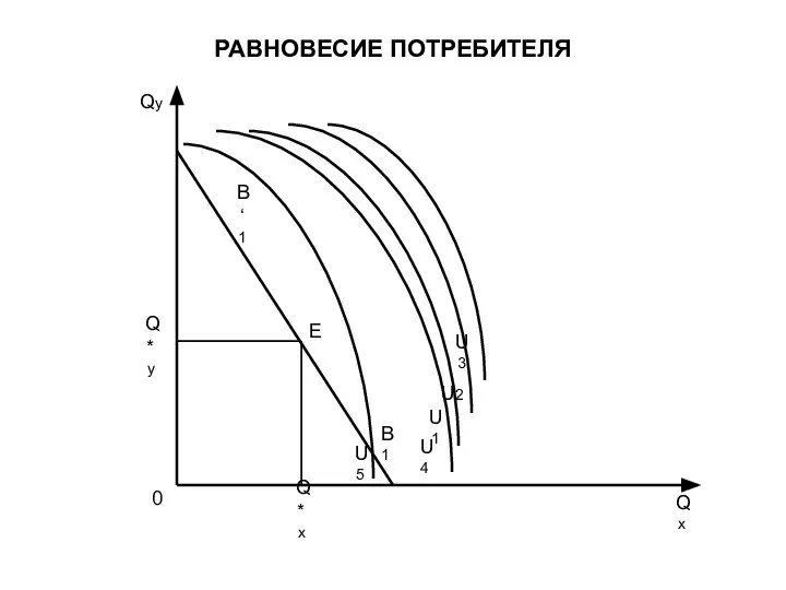 РАВНОВЕСИЕ ПОТРЕБИТЕЛЯ Q*y Q*x Qy Qx U1 U2 U3 U4 U5 E B‘1 B1 0