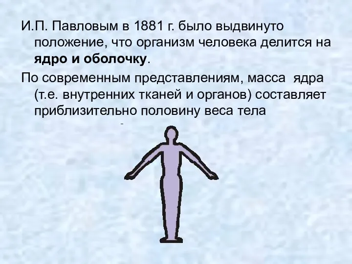 И.П. Павловым в 1881 г. было выдвинуто положение, что организм человека