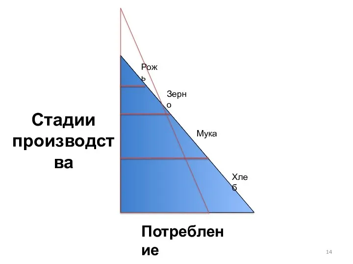 Стадии производства Потребление Рожь Зерно Мука Хлеб