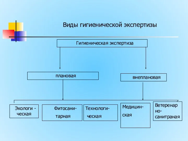 Виды гигиенической экспертизы Гигиеническая экспертиза плановая внеплановая Экологи -ческая Фитосани- тарная Технологи- ческая Медицин- ская Ветеренарно-санитраная