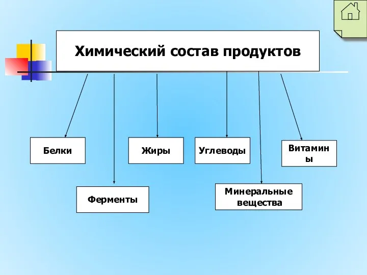 Химический состав продуктов Белки Ферменты Витамины Углеводы Жиры Минеральные вещества