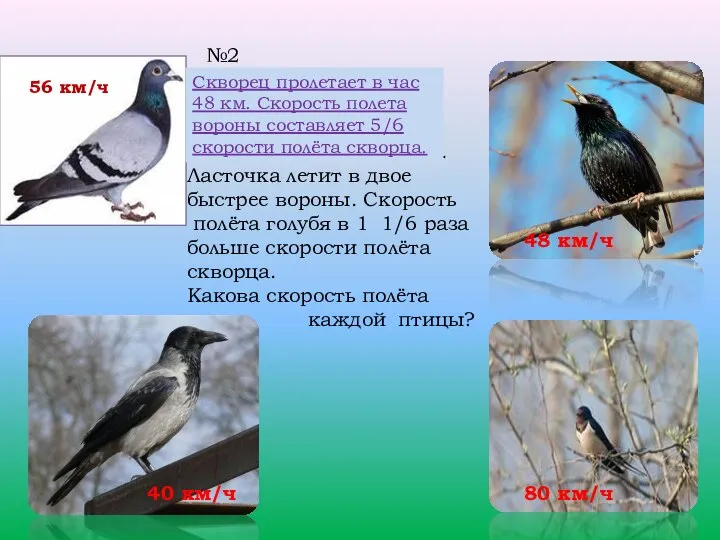 №2 Скворец пролетает в час 48 км.Скорость полета вороны составляет 5/6