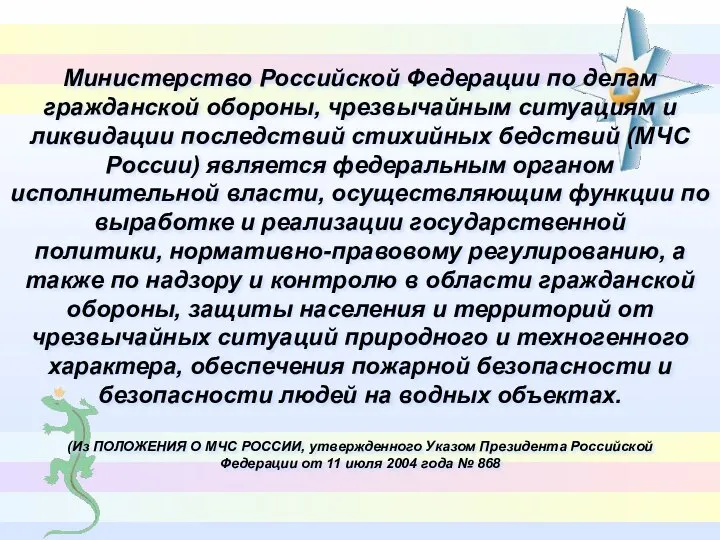 Министерство Российской Федерации по делам гражданской обороны, чрезвычайным ситуациям и ликвидации